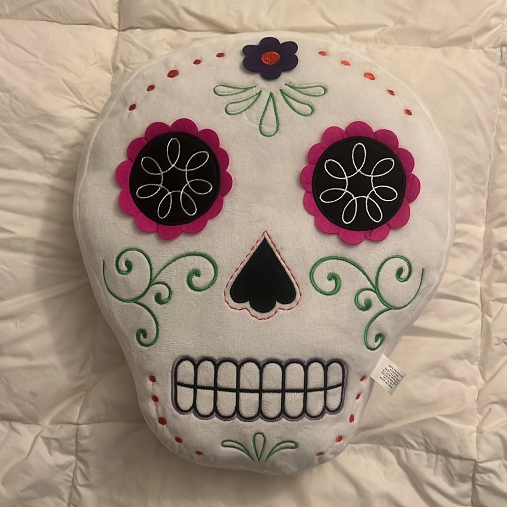 Embroidered skull pillow 13.5 inch